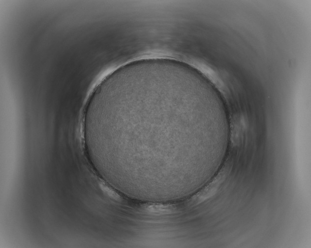 X0000112831366200909041454