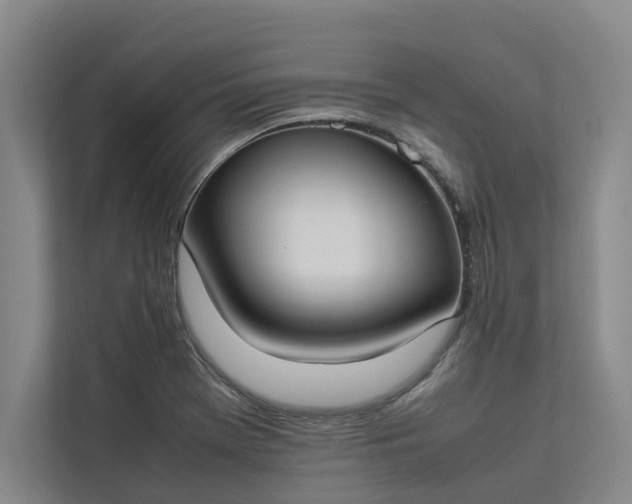 X0000112831369200909041454