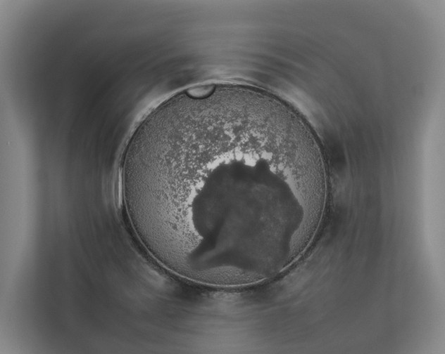 X0000112831371200909041454