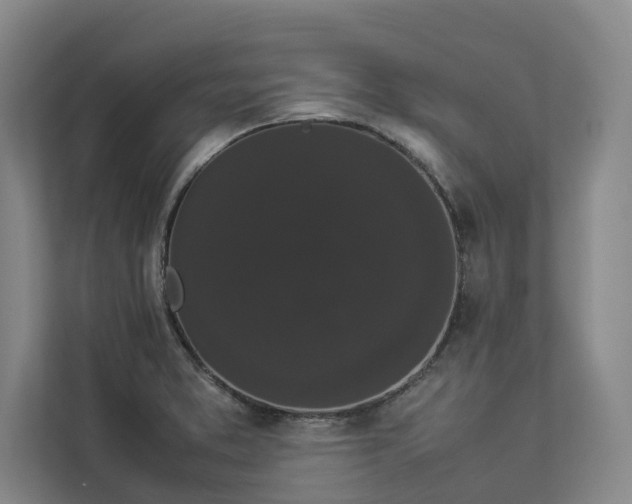 X0000112831373200909041454