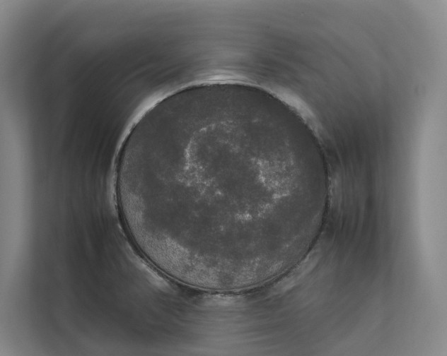 X0000112831374200909041454