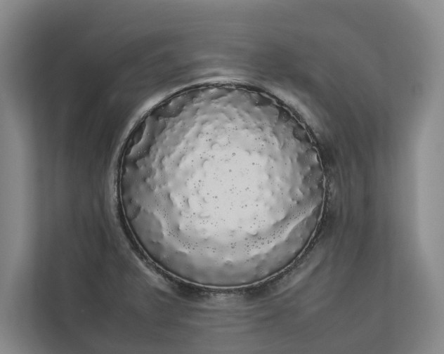 X0000112831375200909041454