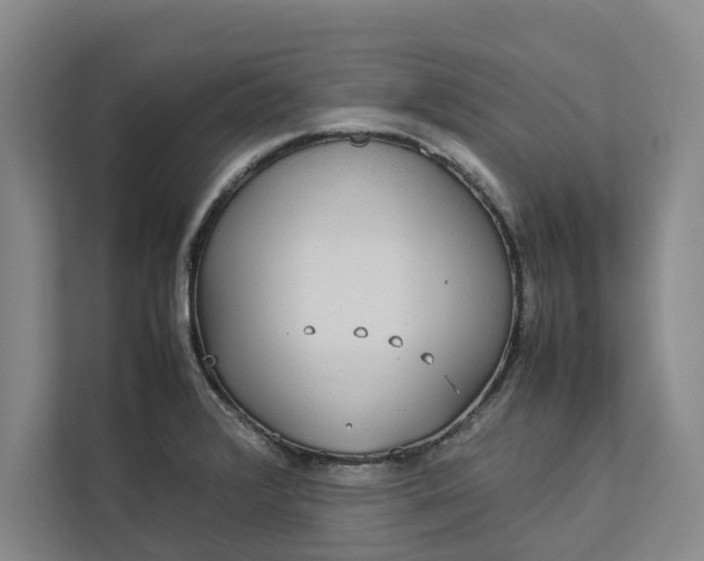 X0000112831376200909041454