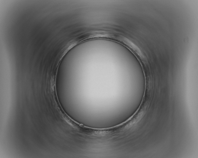 X0000112831377200909041454