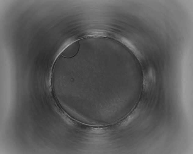 X0000112831378200909041454