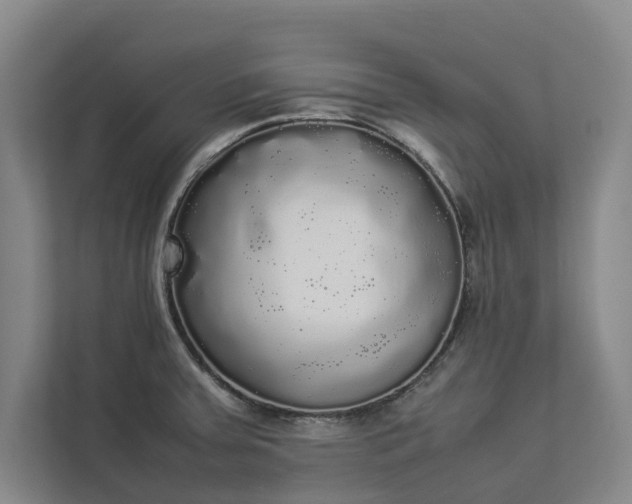 X0000112831379200909041454