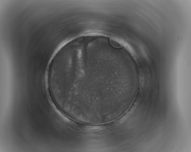 X0000112831382200909041454