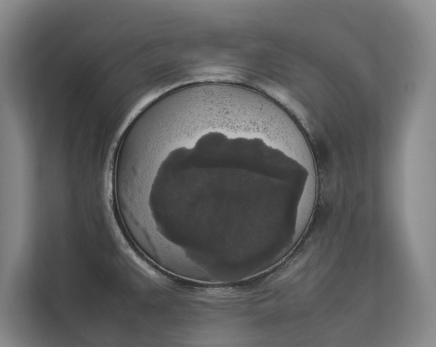 X0000112831383200909041454