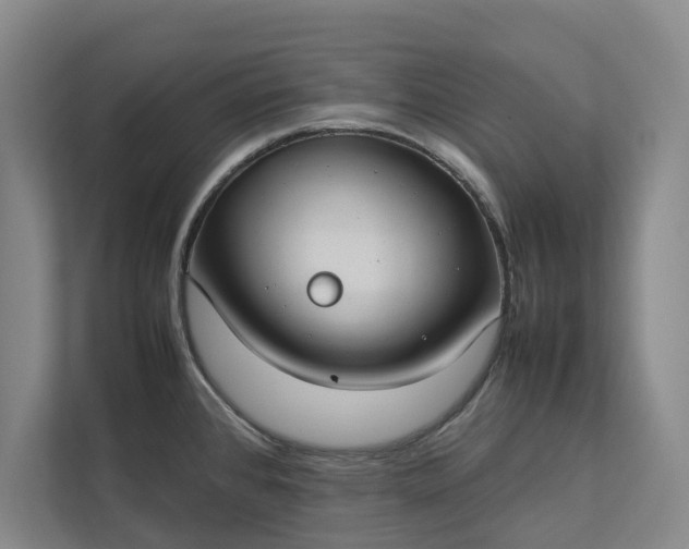 X0000112831384200909041454