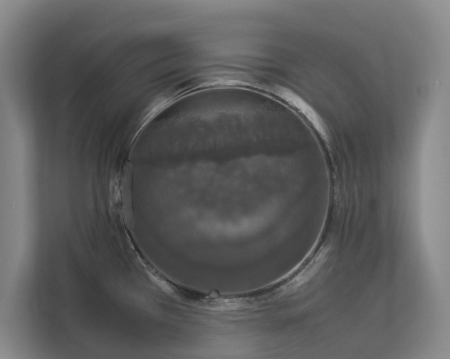 X0000112831385200909041454