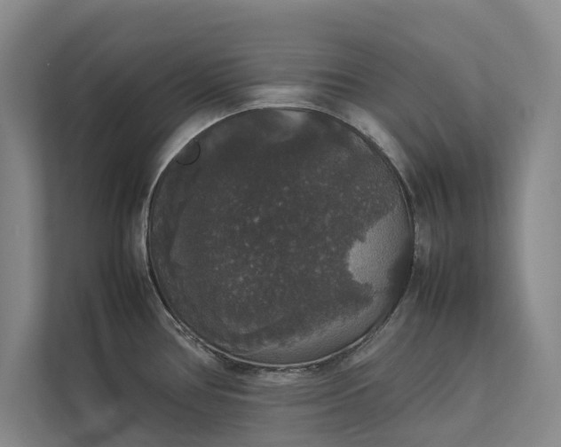 X0000112831386200909041454