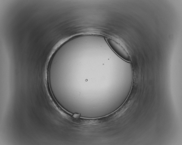 X0000112831387200909041454