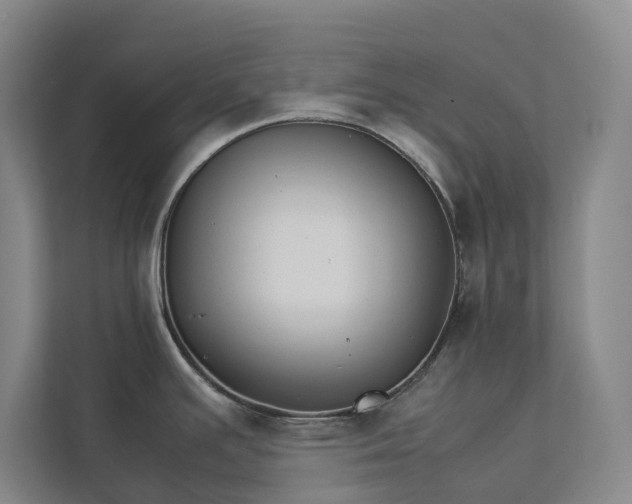 X0000112831391200909041454