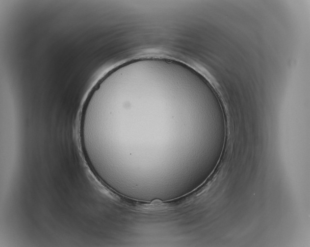 X0000112831392200909041454