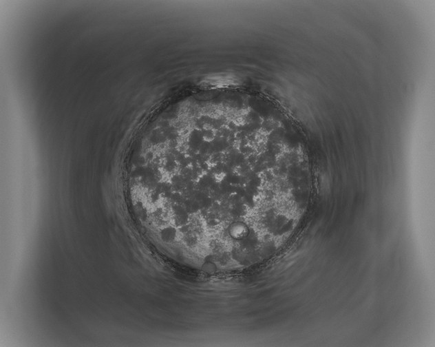 X0000112831393200909041453