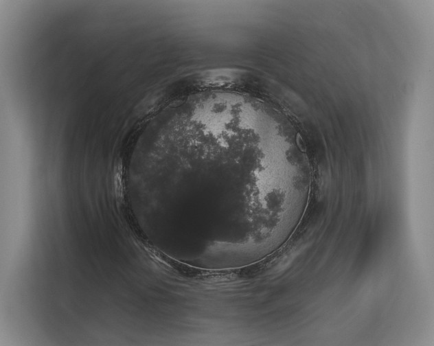 X0000112831394200909041453