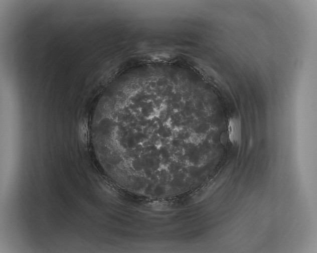 X0000112831395200909041453