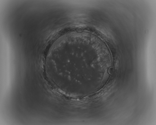 X0000112831397200909041453