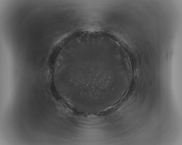 X0000112831398200909041453