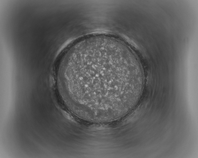 X0000112831400200909041453