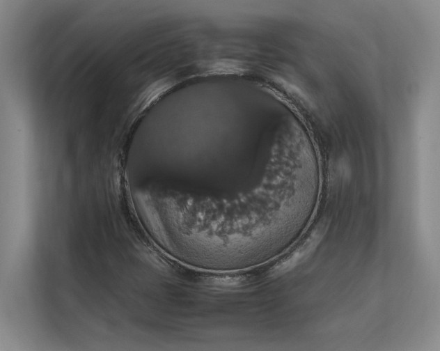 X0000112831401200909041453