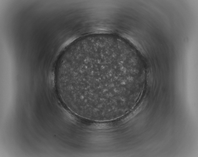 X0000112831402200909041453