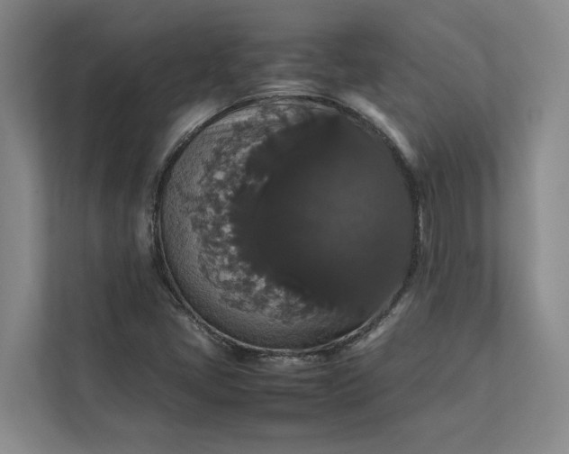 X0000112831405200909041453