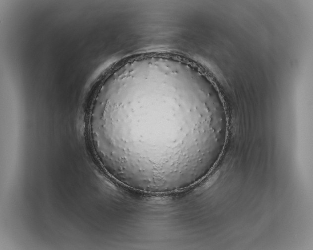 X0000112831406200909041453