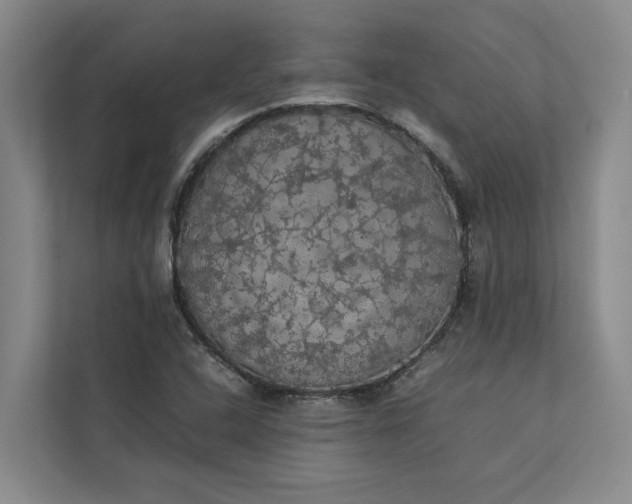 X0000112831408200909041453