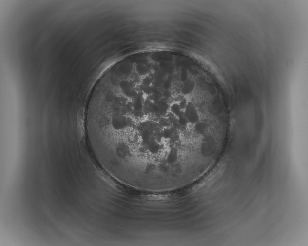 X0000112831409200909041453