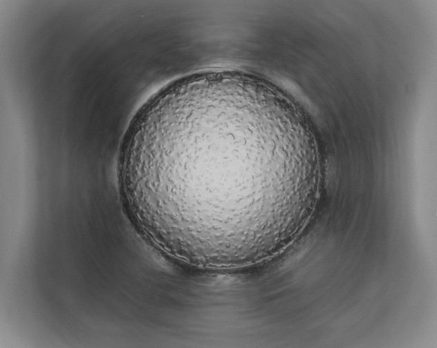 X0000112831412200909041453