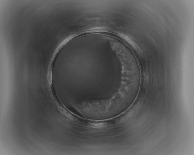 X0000112831413200909041453