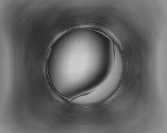 X0000112831417200909041453