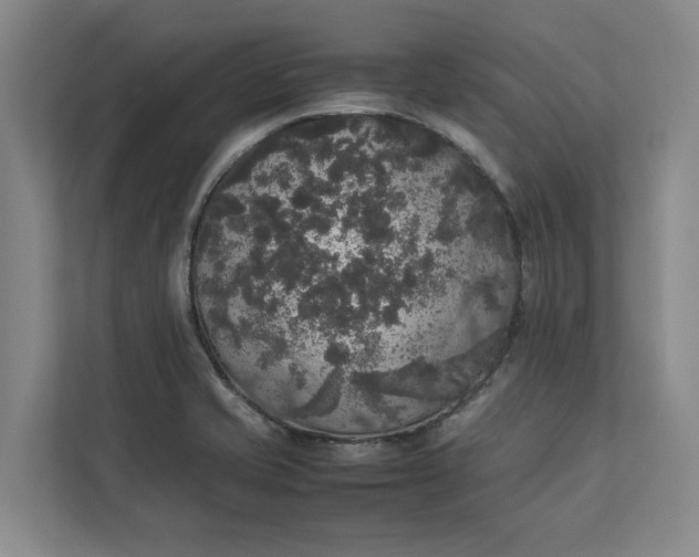 X0000112831421200909041453