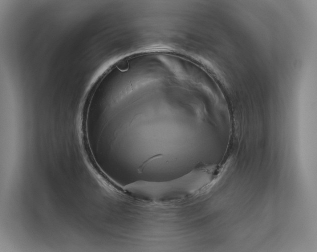 X0000112831422200909041453