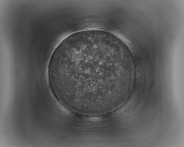 X0000112831423200909041453