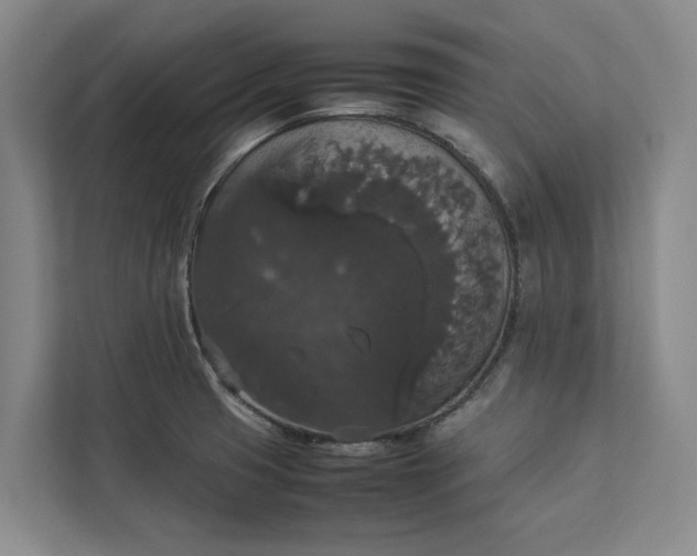 X0000112831425200909041454