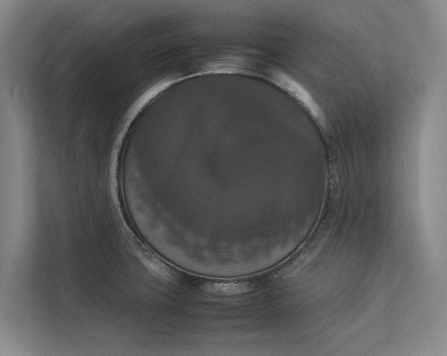 X0000112831427200909041454