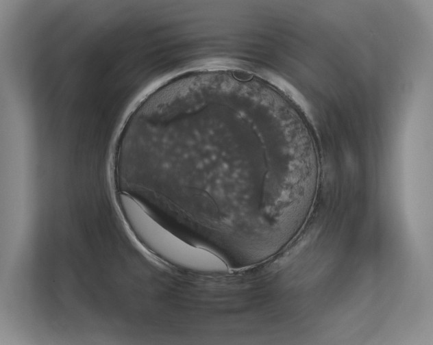 X0000112831429200909041454