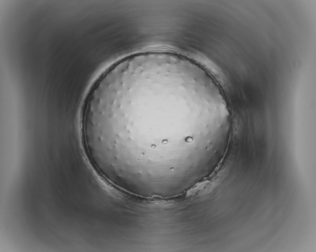 X0000112831430200909041454