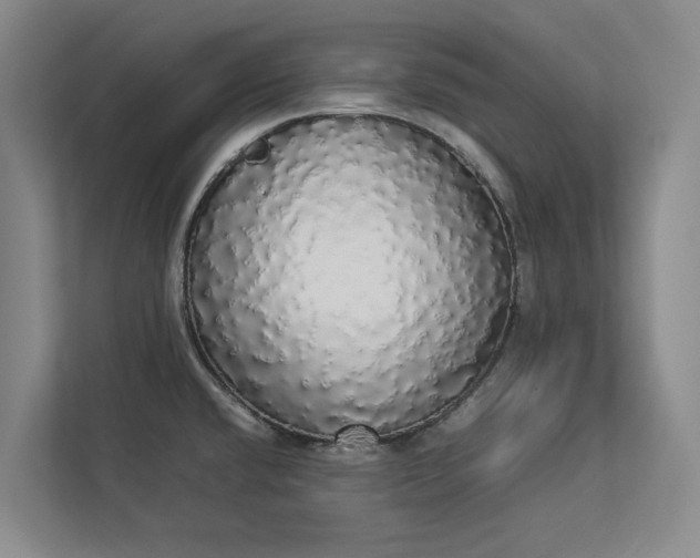 X0000112831432200909041454