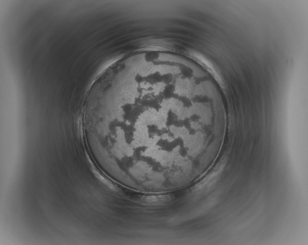 X0000112831433200909041454