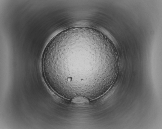 X0000112831434200909041454