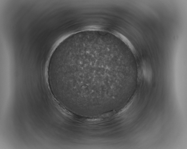 X0000112831435200909041454