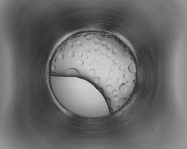 X0000112831437200909041454