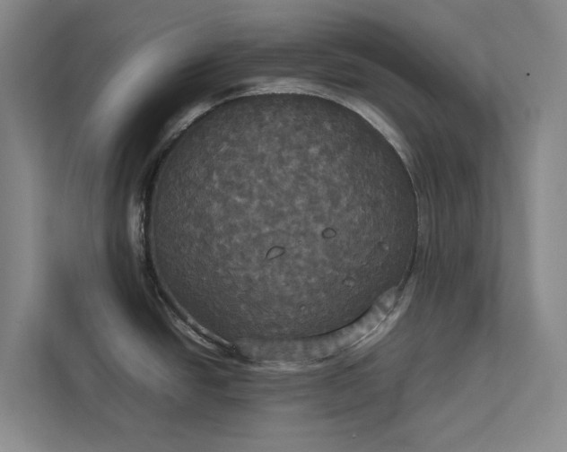 X0000112831438200909041454