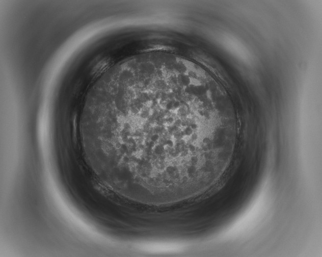 X0000112831439200909041454