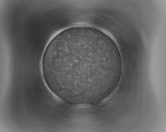 X0000112831440200909041454