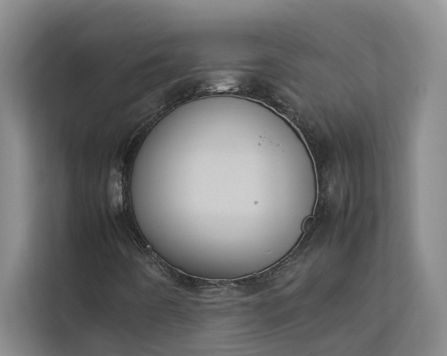 X0000112831442200909041453