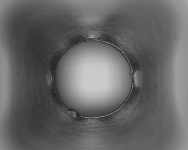 X0000112831443200909041453